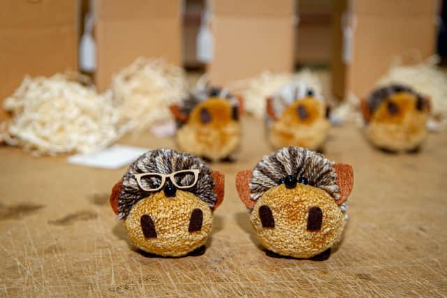 Some of the Hedgehugs with their accessories
Picture: Habibur Rahman