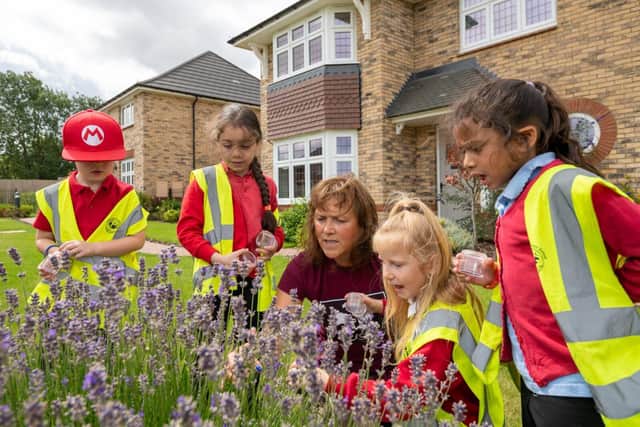 Redrow bug hunt at the Cottenham Grove development in Cottenham Cambs. 