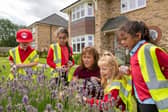 Redrow bug hunt at the Cottenham Grove development in Cottenham Cambs. 