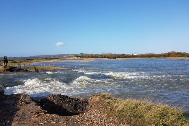 Wastewater pictured leaking into the Southmoor Nature Reserve over the weekend.