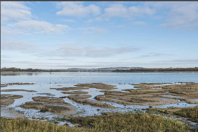 A view from Fairway to Cobnor and the South Downs. Photo by Paul Adams