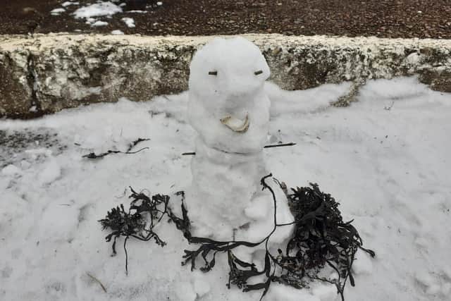The snowman spotted near Blue Reef Aquarium in Southsea. Picture: Daniel Thomson
