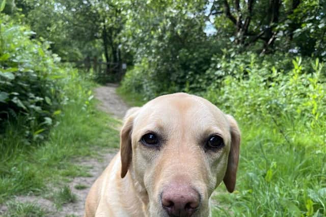 Summer had to have her tongue removed after a freak accident.