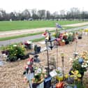 Crofton Cemetery in Stubbington 
Picture: Paul Jacobs (111184-12)