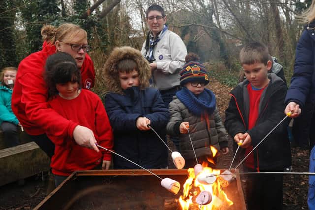 Toasting marshmallows. Squirrel investiture at 2nd Gosport (Rowner) Scouts, Alver Valley School, Gosport
Picture: Chris Moorhouse (jpns 160222-31)