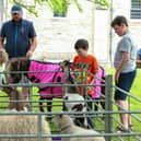 Children meet the animals at the animal farm.Picture: Chris  Moorhouse (010624-23)