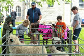 Children meet the animals at the animal farm.Picture: Chris  Moorhouse (010624-23)