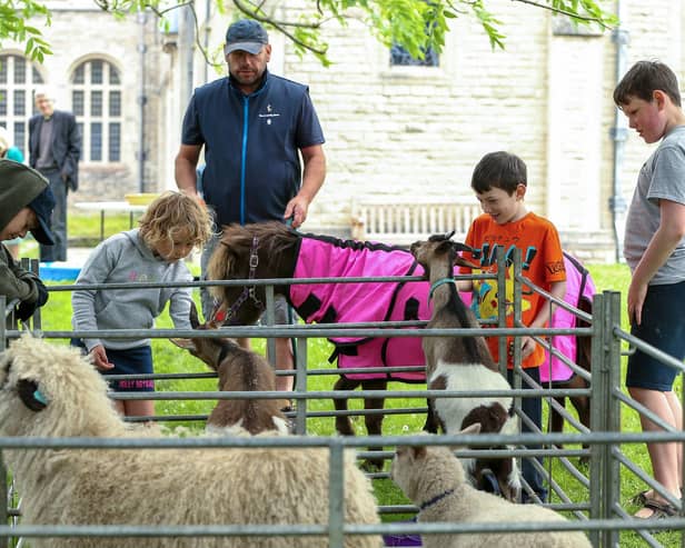 Children meet the animals at the animal farm.Picture: Chris  Moorhouse (010624-23)