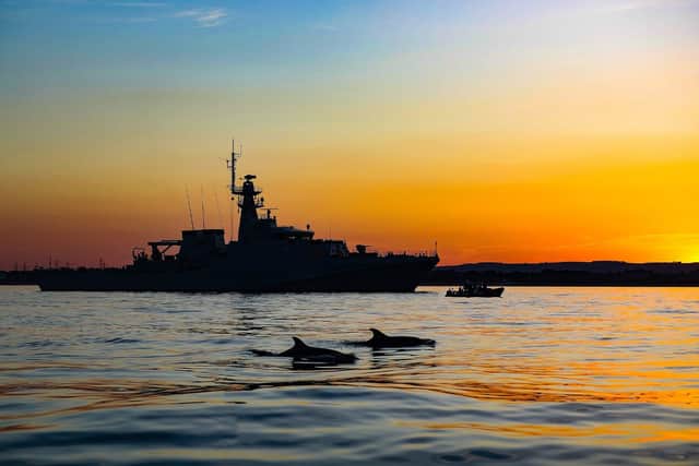 A pair of dolphins swim next to the Royal Navy's newest patrol ship, HMS Tamar while she was at anchor in Weymouth Bay. Photo: HMS Tamar/Twitter