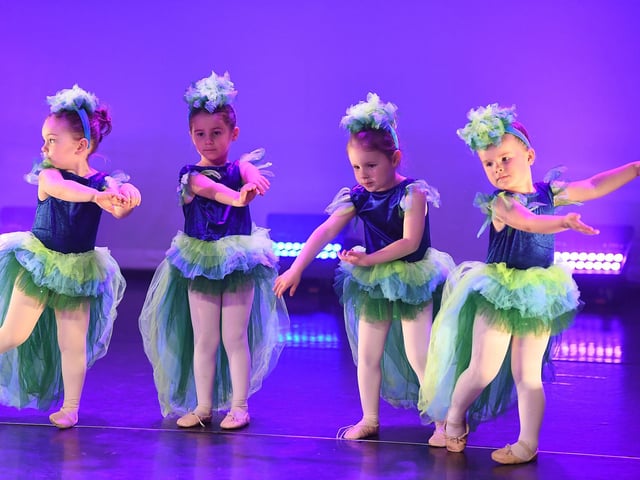 The shows have been taking place at the Berry Theatre in Hedge End.