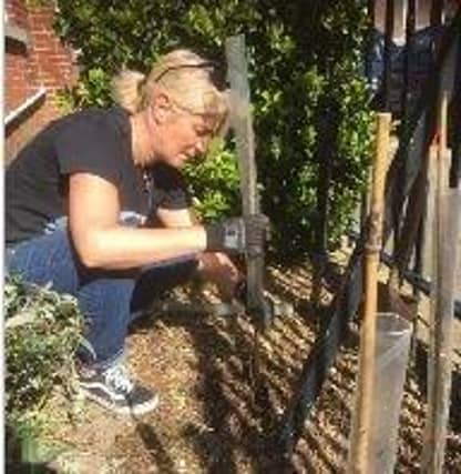 Staff at Meon Junior School have been ensuring lockdown didn't stop them from planting 333 saplings around the school grounds.