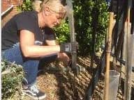 Staff at Meon Junior School have been ensuring lockdown didn't stop them from planting 333 saplings around the school grounds.