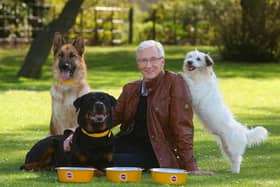 Paul O'Grady with rescue dogs Razor a German Shepherd, Moose a Rottweiler and Dodger a Terrier at London's Battersea Park.Paul O'Grady has died at the age of 67, his partner Andre Portasio has said. Picture: Geoff Caddick/PA.
