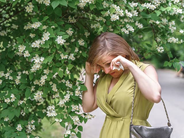 Living with hay fever can make daily life a struggle (photo: Adobe)