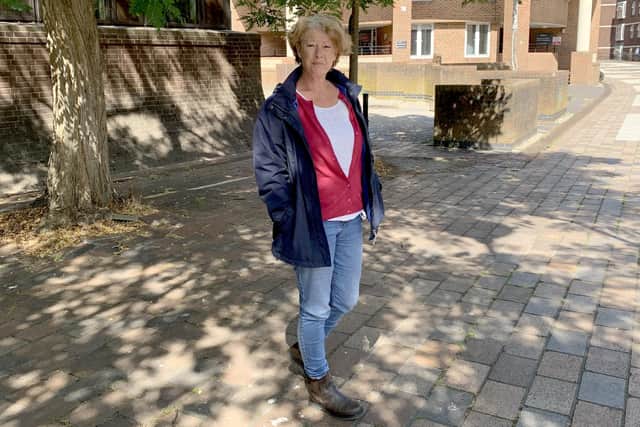 Louise Hathaway, 47, of Hampage Green, Leigh Park, pictured at Portsmouth Crown Court
Picture: Ben Fishwick
