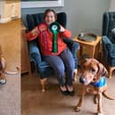 Rinka, the Canine Concern Therapy Dog, with Margaret (right picture) who lives at Florence Court.