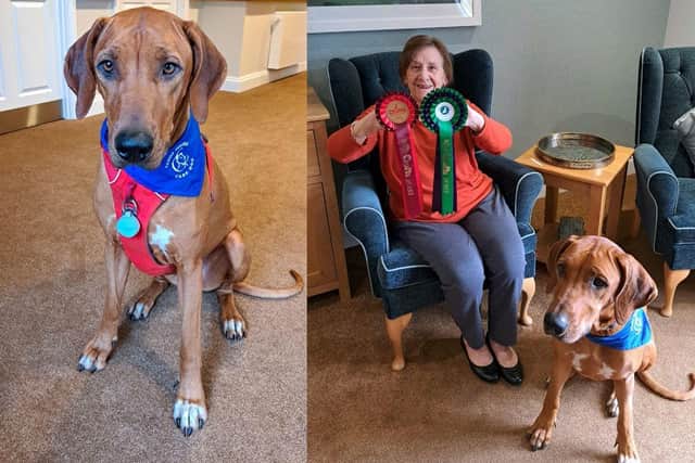 Rinka, the Canine Concern Therapy Dog, with Margaret (right picture) who lives at Florence Court.