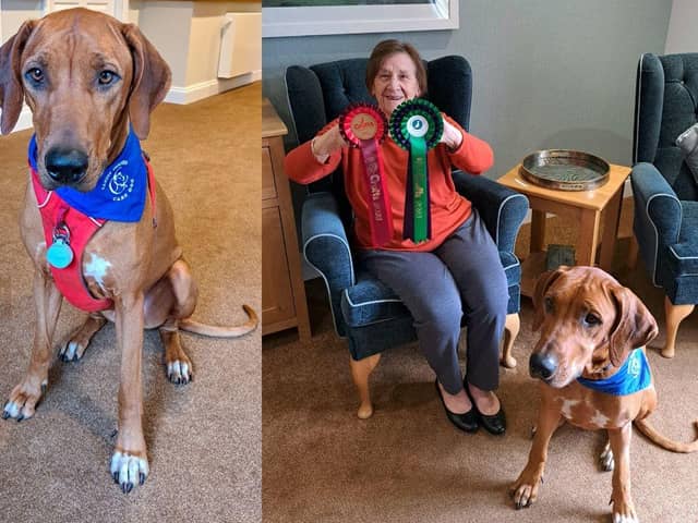 Rinka, the Canine Concern Therapy Dog, with Margaret (right picture) who lives at Florence Court.
