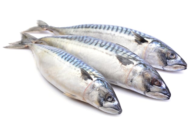 'I’m going mackerel fishing today; will you cook my catch for dinner?' One customer requested this at the city centre Travelodge. Mackerel may soon be added to the menu.