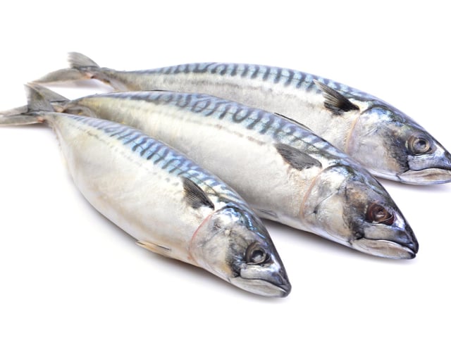 'I’m going mackerel fishing today; will you cook my catch for dinner?' One customer requested this at the city centre Travelodge. Mackerel may soon be added to the menu.