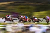 Enjoy a memorable day out at Goodwood horse racing in 2022