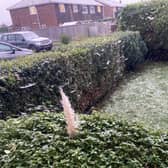 Snow is falling this morning