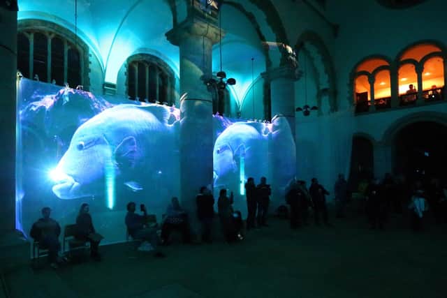 'Octopuses and Other Sea Creatures', an immersive sound and light show in Portsmouth Cathedral, as part of We Shine
Picture: Chris Moorhouse (jpns 161122-23)