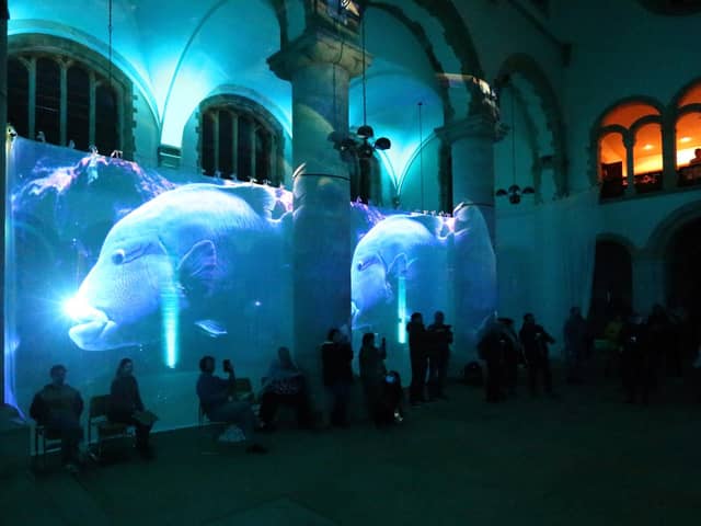 'Octopuses and Other Sea Creatures', an immersive sound and light show in Portsmouth Cathedral, as part of We Shine
Picture: Chris Moorhouse (jpns 161122-23)