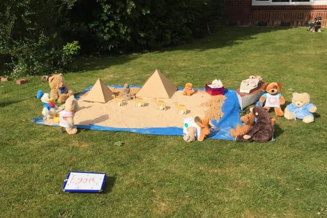 The day the Tregaron Avenue bears visited the pyramids in Egypt