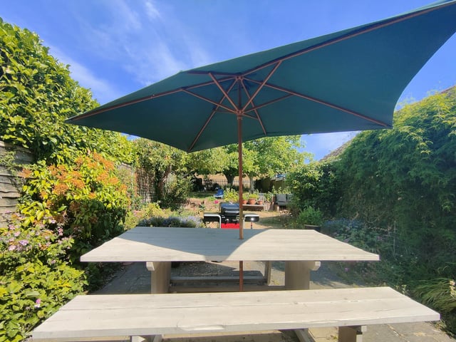 The back garden