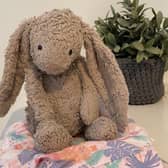 A mother and daughter are desperately looking for a bunny which was left on a train between Clapham Junction and Portsmouth Harbour.