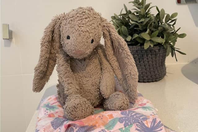 A mother and daughter are desperately looking for a bunny which was left on a train between Clapham Junction and Portsmouth Harbour.