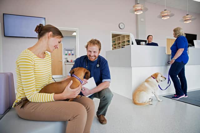 If you want a meaningful conversation, head for your vet's waiting room. Picture: Shutterstock