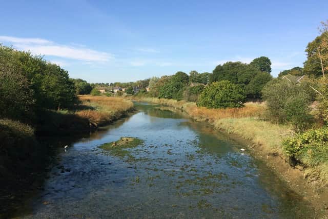 The River Wallington from the roundabout by Fareham viaduct. Picture: Robert Pragnell