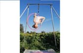 Bella Hounsell, 9, practising on her aerial frame