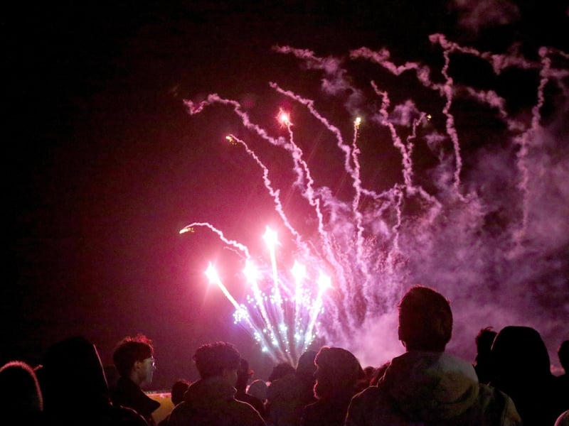 Portsmouth City Council's firework display on Southsea CommonPicture: Chris Moorhouse (jpns 011123-48)