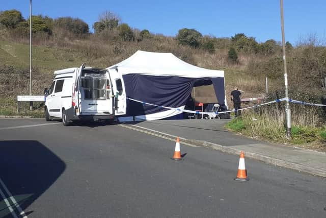 The tent in Paulsgrove Picture: Neil Fatkin