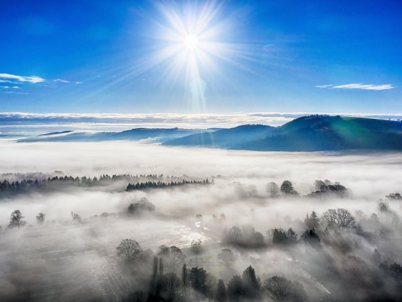 Pictured is a misty dawn over South Downs.