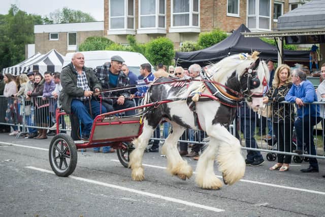 Wickham Horse Fair held at the Square, Wickham, on May 20, 2019. Horse Owners displaying their horses at The Square, Wickham. Picture: Habibur Rahman