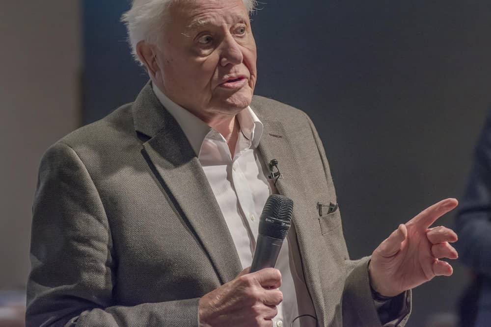 Sir David Attenborough the most sought after guest speaker (photo: Getty Images)