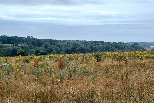 Around 80 hectares of farmland will be transformed