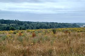 Around 80 hectares of farmland will be transformed