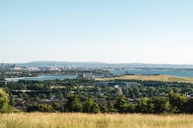 Studies have shown that more trees and greenery can have a positive impact on mental health - and more trees would, of course, help with Portsmouth's carbon footprint.