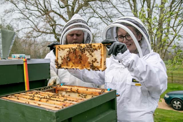 Weekend Cover story on what its like to be a bee keeper
Pictured:News reporter, Hollie Busby holding a frame that contains the bees and honeycombs in West Ashling on 29th March 2022
Picture: Habibur Rahman