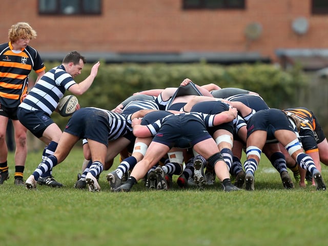 Havant Dolphins' scrum-half Jake Reynolds. Picture: Chris Moorhouse