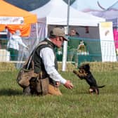 Nick Gregory giving a gundog demonstration to the crowd. Picture: prwyni
