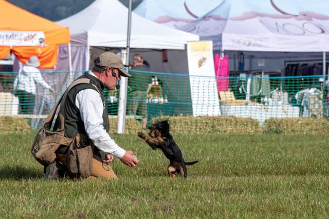 Nick Gregory giving a gundog demonstration to the crowd. Picture: prwyni