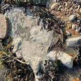 Final Straw Foundation members collected 135kg of rubbish and dirty wet wipes at Eastney beach last Saturday, after the Environment Agency issued an 'abnormal situation' warning about the Solent's water quality around Hayling Island.