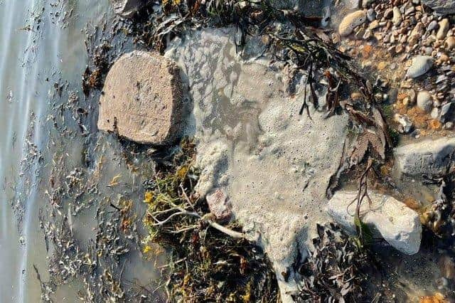 Final Straw Foundation members collected 135kg of rubbish and dirty wet wipes at Eastney beach last Saturday, after the Environment Agency issued an 'abnormal situation' warning about the Solent's water quality around Hayling Island.