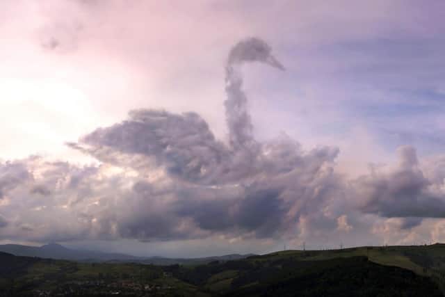 Alun Newman thinks we should all have our head in the clouds. Pic: Shutterstock.